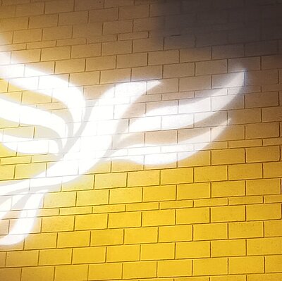 Lib Dem logo bird projected on blockwork